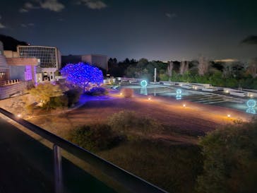 ニジゲンノモリに投稿された画像（2024/12/28）