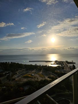 ニジゲンノモリに投稿された画像（2024/12/28）