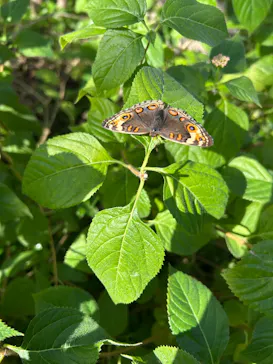 多摩動物公園に投稿された画像（2024/12/28）