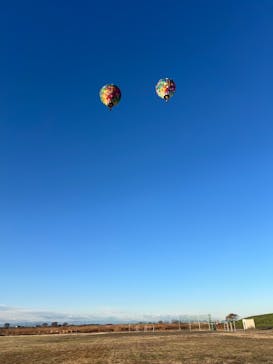 ウイニングバルーンクラブに投稿された画像（2024/12/28）