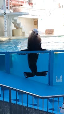 伊豆・三津シーパラダイスに投稿された画像（2024/12/28）