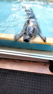 伊豆・三津シーパラダイスに投稿された画像（2024/12/28）