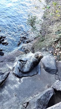 伊豆・三津シーパラダイスに投稿された画像（2024/12/28）