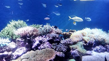 伊豆・三津シーパラダイスに投稿された画像（2024/12/28）