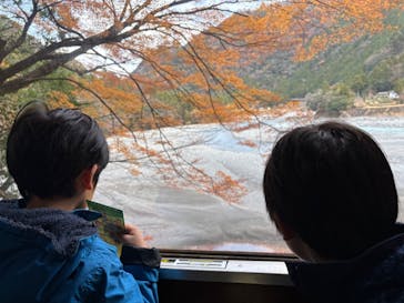 大井川鐵道株式会社に投稿された画像（2024/12/28）