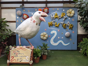 掛川花鳥園に投稿された画像（2024/12/28）