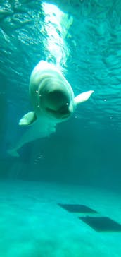 鴨川シーワールドに投稿された画像（2024/12/28）