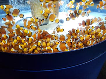 鴨川シーワールドに投稿された画像（2024/12/28）