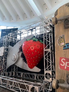 六本木ヒルズ展望台 東京シティビューに投稿された画像（2024/12/28）