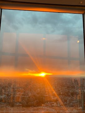 六本木ヒルズ展望台 東京シティビューに投稿された画像（2024/12/28）