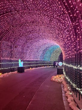 NESTA RESORT KOBE（ネスタリゾート神戸）に投稿された画像（2024/12/28）