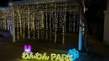 神戸イルミナージュに投稿された画像（2024/12/28）