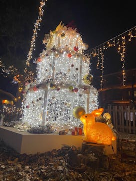 Christmas Market in 横浜赤レンガ倉庫 2025に投稿された画像（2024/12/28）