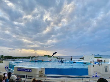 沖縄美ら海水族館に投稿された画像（2024/12/28）