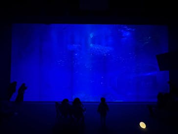 アクアワールド茨城県大洗水族館に投稿された画像（2024/12/28）