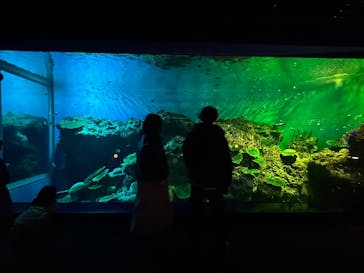 アクアワールド茨城県大洗水族館に投稿された画像（2024/12/28）