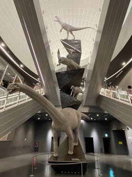 福井県立恐竜博物館に投稿された画像（2024/12/28）