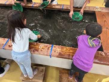 土肥金山に投稿された画像（2024/12/28）