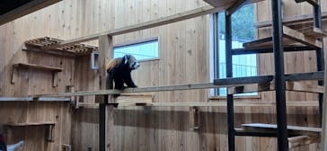 名古屋市東山動植物園に投稿された画像（2024/12/28）