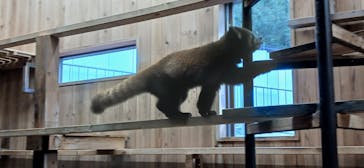 名古屋市東山動植物園に投稿された画像（2024/12/28）