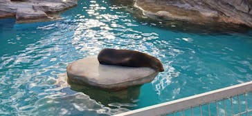 名古屋市東山動植物園に投稿された画像（2024/12/28）