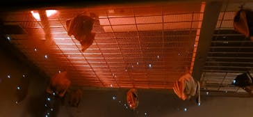 名古屋市東山動植物園に投稿された画像（2024/12/28）