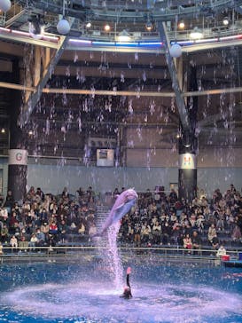 マクセル アクアパーク品川に投稿された画像（2024/12/28）