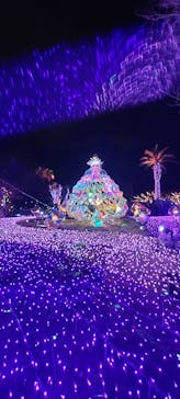 江の島1dayに投稿された画像（2024/12/28）