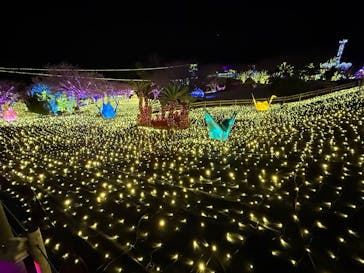 伊豆高原グランイルミに投稿された画像（2024/12/28）