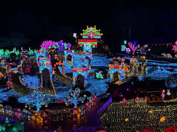 伊豆高原グランイルミに投稿された画像（2024/12/28）