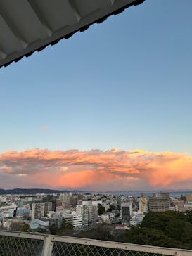 小田原城に投稿された画像（2024/12/28）