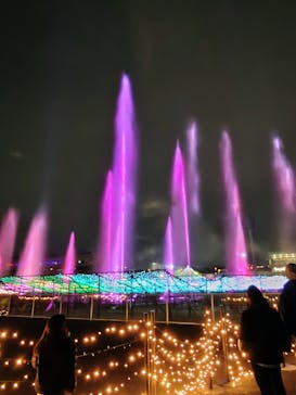 東京メガイルミに投稿された画像（2024/12/28）