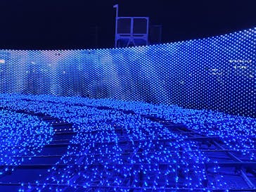 東京メガイルミに投稿された画像（2024/12/28）