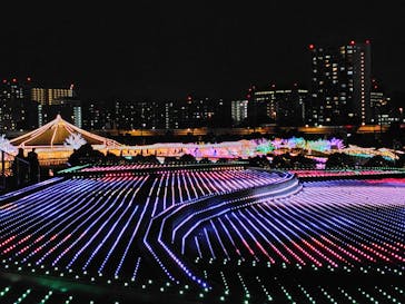 東京メガイルミに投稿された画像（2024/12/28）