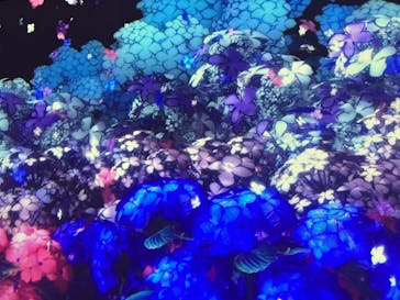 動き出す浮世絵展 TOKYOに投稿された画像（2024/12/28）