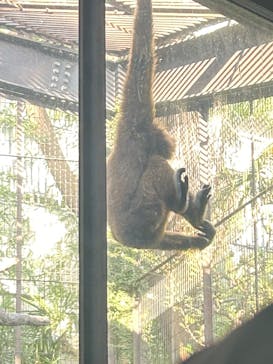 恩賜上野動物園に投稿された画像（2024/12/28）