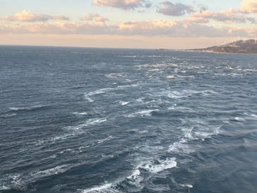 徳島県立 渦の道に投稿された画像（2024/12/28）