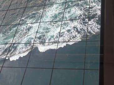 徳島県立 渦の道に投稿された画像（2024/12/28）