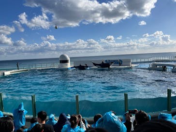 鴨川シーワールドに投稿された画像（2024/12/28）