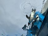サンシャイン水族館に投稿された画像（2024/12/29）