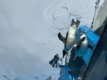 サンシャイン水族館に投稿された画像（2024/12/28）