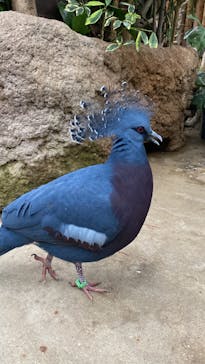 神戸どうぶつ王国に投稿された画像（2024/12/29）