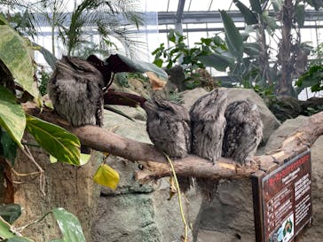 神戸どうぶつ王国に投稿された画像（2024/12/29）