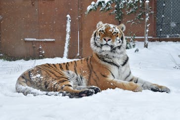 那須どうぶつ王国に投稿された画像（2024/12/29）