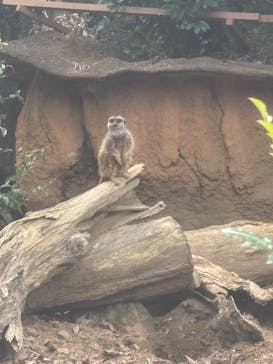 到津の森公園に投稿された画像（2024/12/29）