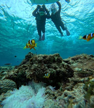 青の洞窟専門店　沖縄ダイビングショップ和に投稿された画像（2024/12/29）