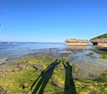 ちーりーに投稿された画像（2024/12/25）