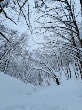 ジャグスポーツに投稿された画像（2024/12/29）
