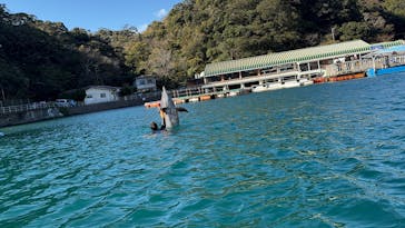 下田海中水族館に投稿された画像（2024/12/29）