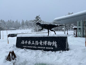 福井県立恐竜博物館に投稿された画像（2024/12/29）